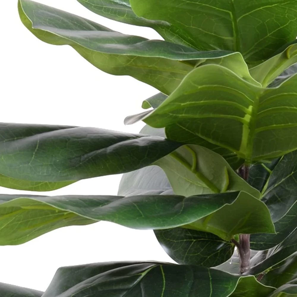 FIDDLE LEAF FIG TREE 48" - Image 2