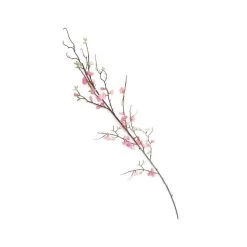 CHERRY BLOSSOM BRANCH, PK