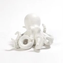 OCTOPUS, WHITE