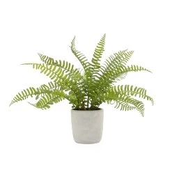 SOLARO FAUX POT'D BOSTON FERN